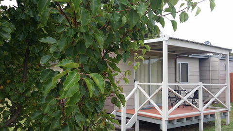 Chalets On Frenchman - Accommodation Port Macquarie 13