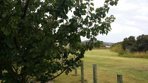 Chalets On Frenchman - Accommodation Port Macquarie 14