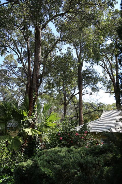Two Sisters Chalets - Accommodation Port Macquarie 33