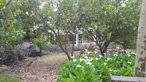 Two Sisters Chalets - Accommodation Port Macquarie 15