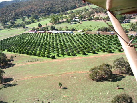 Bindoon's Windmill Farm - Accommodation Port Macquarie 3