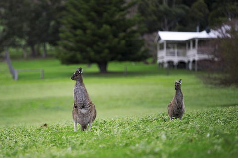 Sienna Lodge - Accommodation Port Macquarie 14