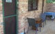 Bentworth Lodge - thumb 24