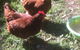 Bentworth Lodge - thumb 1
