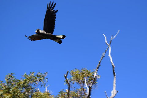 Eagle Bay House - Accommodation Port Macquarie 8