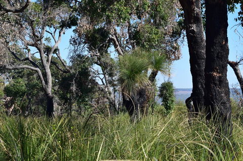 Eagle Bay House - Accommodation Port Macquarie 32