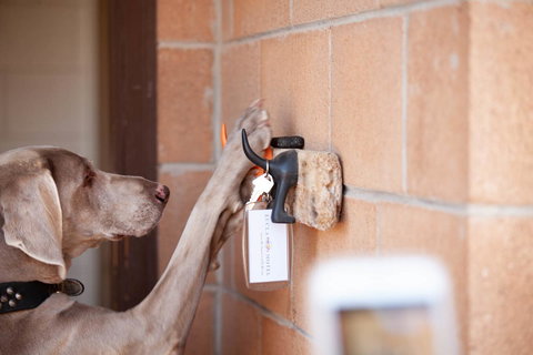 EUCLA MOTOR HOTEL - Accommodation Port Macquarie 21