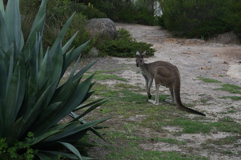 Aqua Views - Accommodation Port Macquarie 15