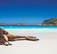 The Shiralee - Accommodation Port Macquarie
