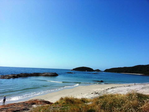 Cosy Corner Chalets - Accommodation Port Macquarie 13