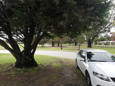 Affordable Inn - Accommodation Port Macquarie 25