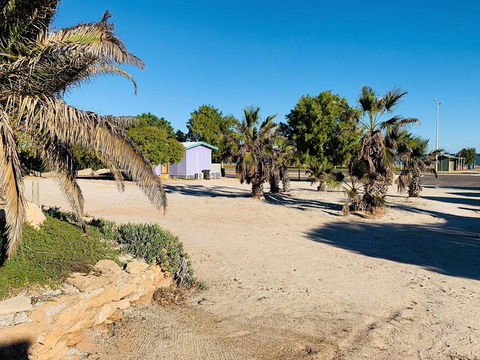 Shark Bay Cottages - Accommodation Port Macquarie 12