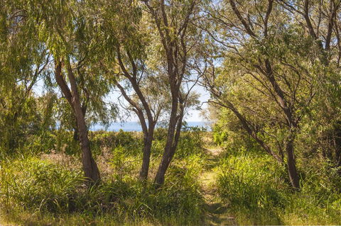 Seahaven - Accommodation Port Macquarie 7