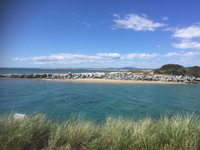 Book Bridport Accommodation Vacations Accommodation Port Macquarie Accommodation Port Macquarie