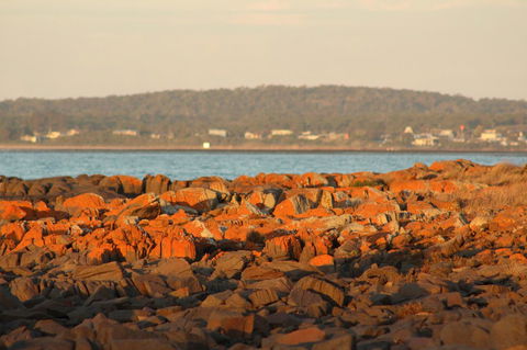 Tamar Solar Home - Accommodation Port Macquarie 16