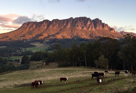 Manna Hill Farm - Accommodation Port Macquarie 10