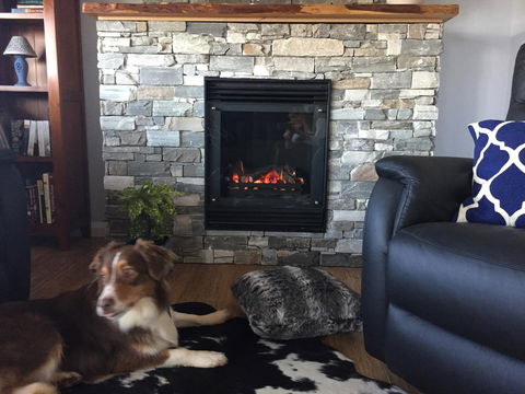 Manna Hill Farm - Accommodation Port Macquarie 12