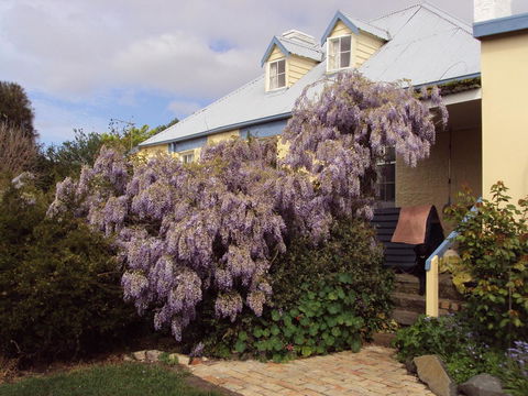 Orford's Sanda House B&B - Accommodation Port Macquarie 40