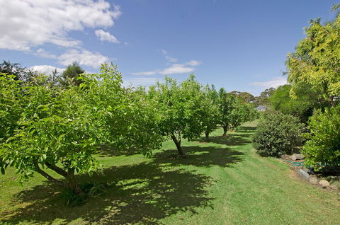 Orford's Sanda House B&B - Accommodation Port Macquarie 37