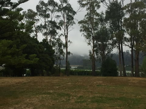 Amble\'a\'While On Tamar - Accommodation Port Macquarie 39
