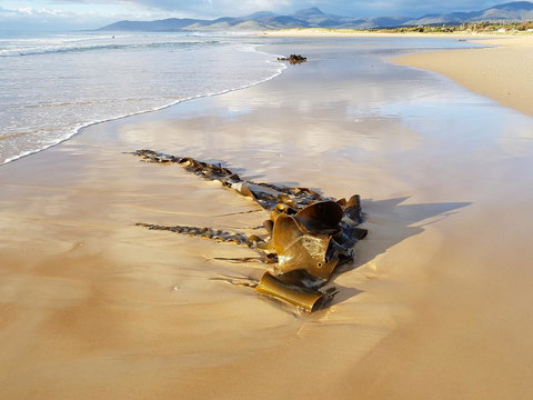 Blue Seas Holiday Villas - Accommodation Port Macquarie 11