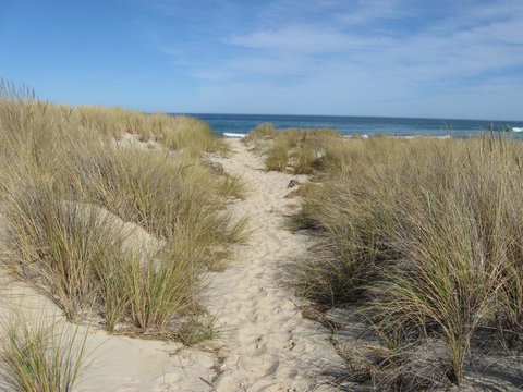 Blue Seas Holiday Villas - Accommodation Port Macquarie 9