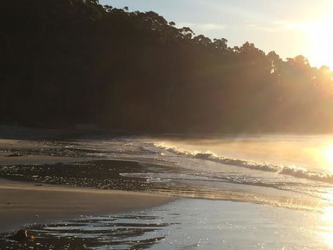 Summertime Cottage - Accommodation Port Macquarie 7