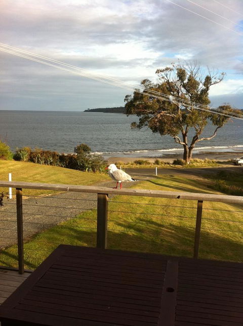 Summertime Cottage - Accommodation Port Macquarie 30