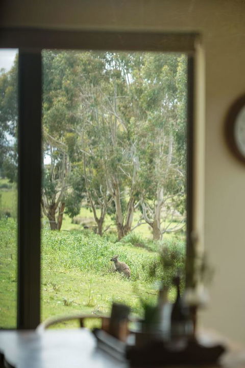 Adventure Bay Retreat Bruny Island - Accommodation Port Macquarie 7