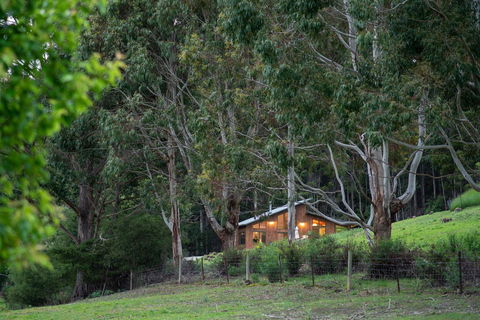 Adventure Bay Retreat Bruny Island - Accommodation Port Macquarie 24