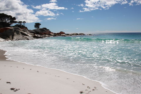 SEA EAGLE COTTAGE Amazing Views Of Bay Of Fires - Accommodation Port Macquarie 14