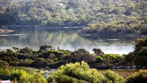 SEA EAGLE COTTAGE Amazing Views Of Bay Of Fires - Accommodation Port Macquarie 17