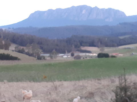 Robin\'s Nest B&B - Accommodation Port Macquarie 32
