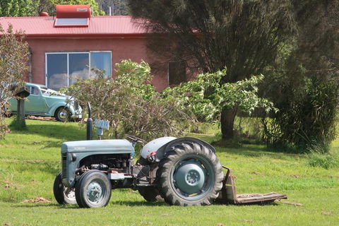 Cherry Top Farmstay - Boutique Eco Village - Accommodation Port Macquarie 25