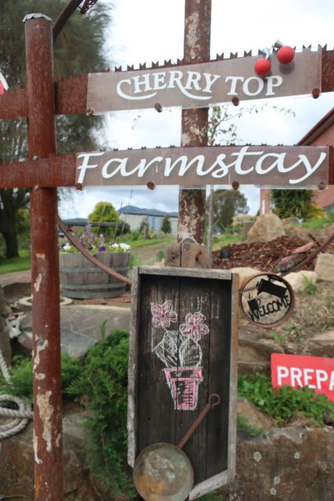 Cherry Top Farmstay - Boutique Eco Village - Accommodation Port Macquarie 5