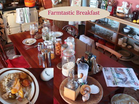 Cherry Top Farmstay - Boutique Eco Village - Accommodation Port Macquarie 17