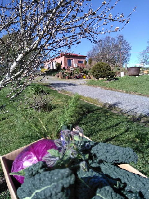 Cherry Top Farmstay - Boutique Eco Village - Accommodation Port Macquarie 23