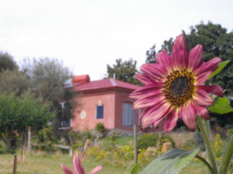 Cherry Top Farmstay - Boutique Eco Village - Accommodation Port Macquarie 27
