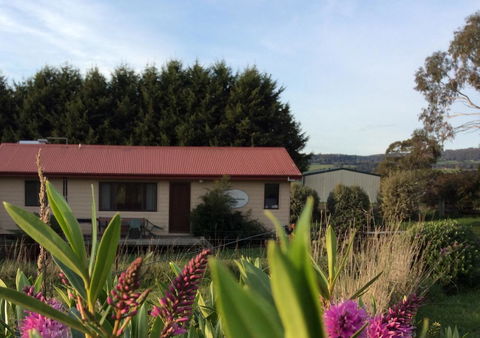 Cherry Top Farmstay - Boutique Eco Village - Accommodation Port Macquarie 22