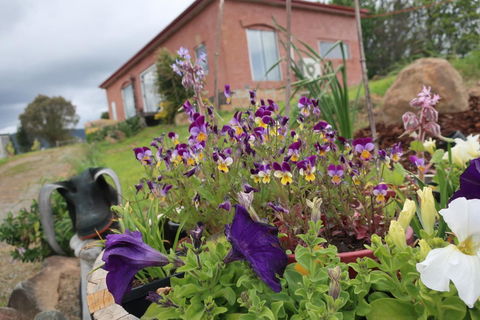 Cherry Top Farmstay - Boutique Eco Village - Accommodation Port Macquarie 7
