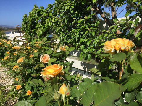 Garden By The Beach - Gateway To The East Coast, Close To Airport - Accommodation Port Macquarie 25