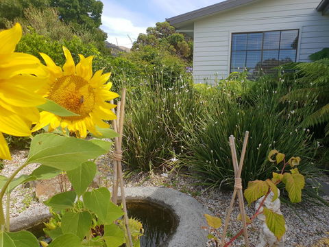 Garden By The Beach - Gateway To The East Coast, Close To Airport - Accommodation Port Macquarie 13