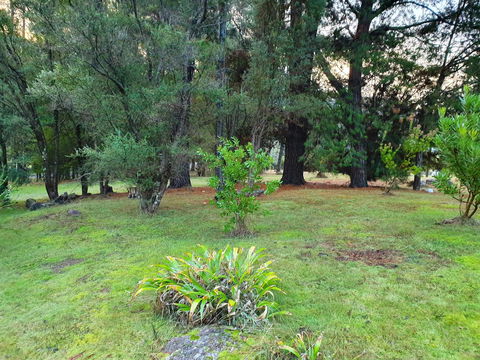 Roland B&B - Accommodation Port Macquarie 31