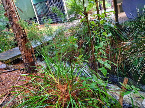 Roland B&B - Accommodation Port Macquarie 17