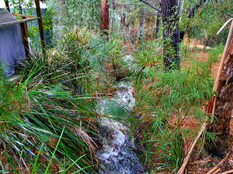 Roland B&B - Accommodation Port Macquarie 22