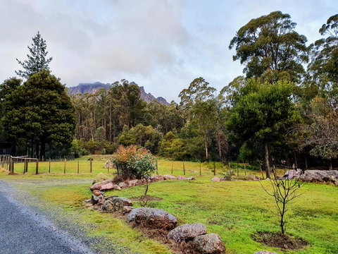 Roland B&B - Accommodation Port Macquarie 19