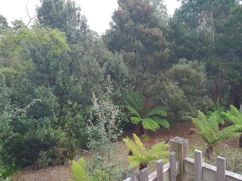 Roland B&B - Accommodation Port Macquarie 41