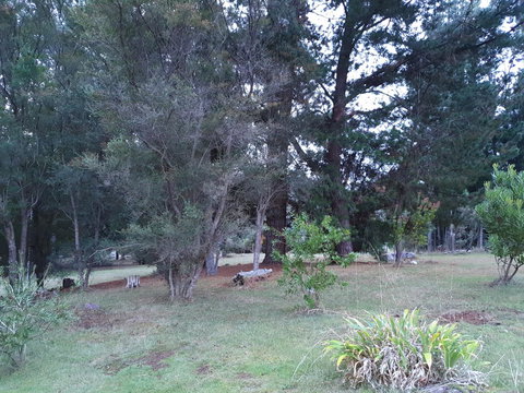 Roland B&B - Accommodation Port Macquarie 38