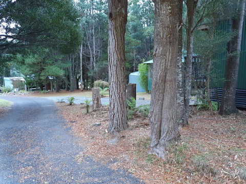 Roland B&B - Accommodation Port Macquarie 43