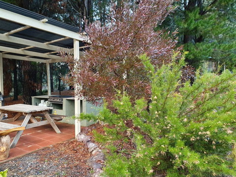 Roland B&B - Accommodation Port Macquarie 15